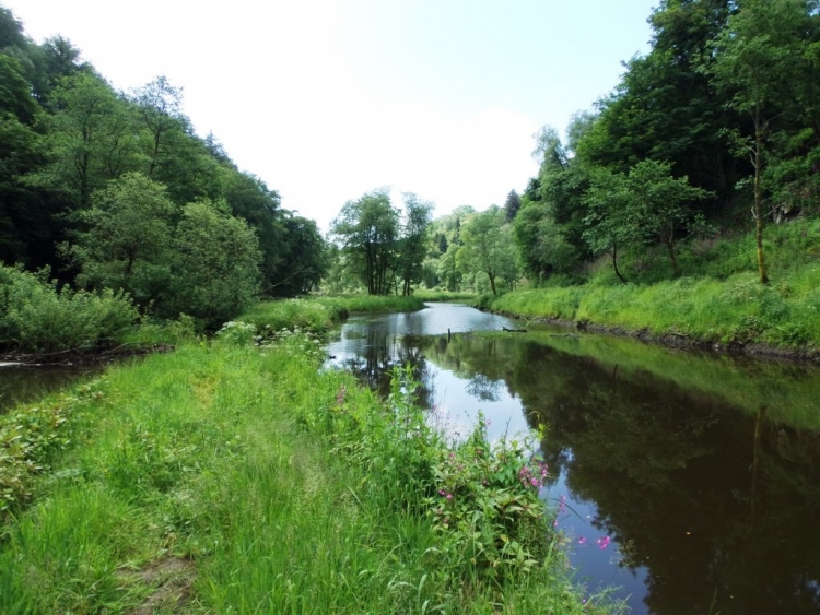 Penllergare Valley Woods Lake