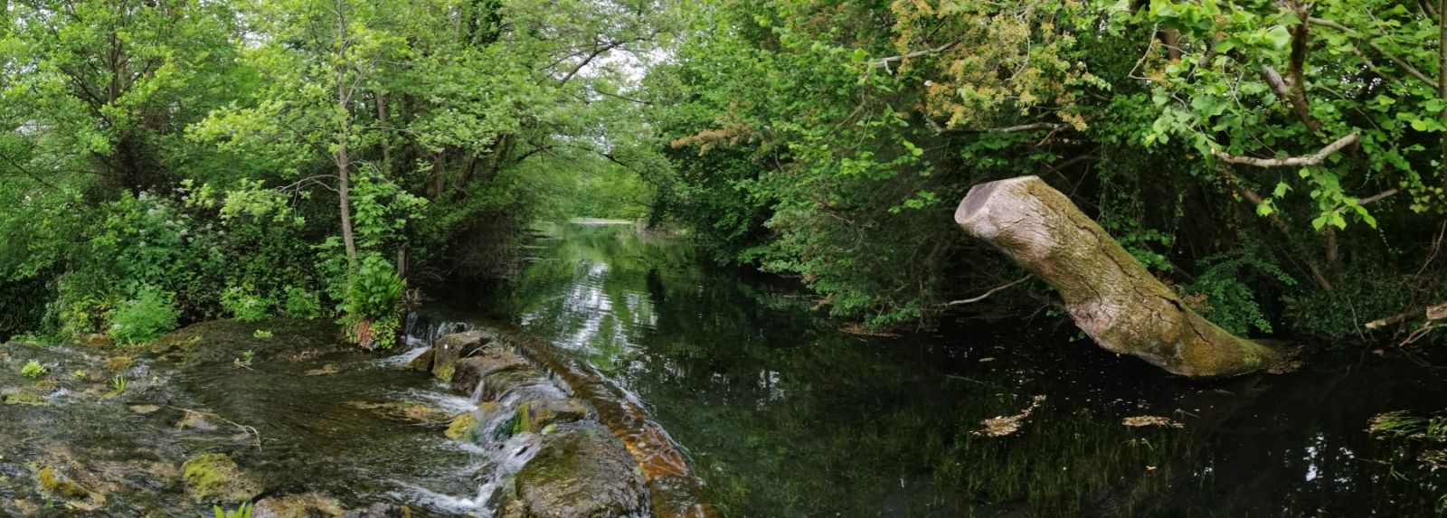 River and lake at fairwaters