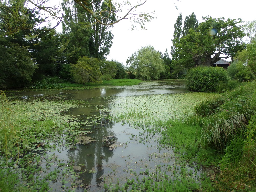 Barwick pond, Somerset