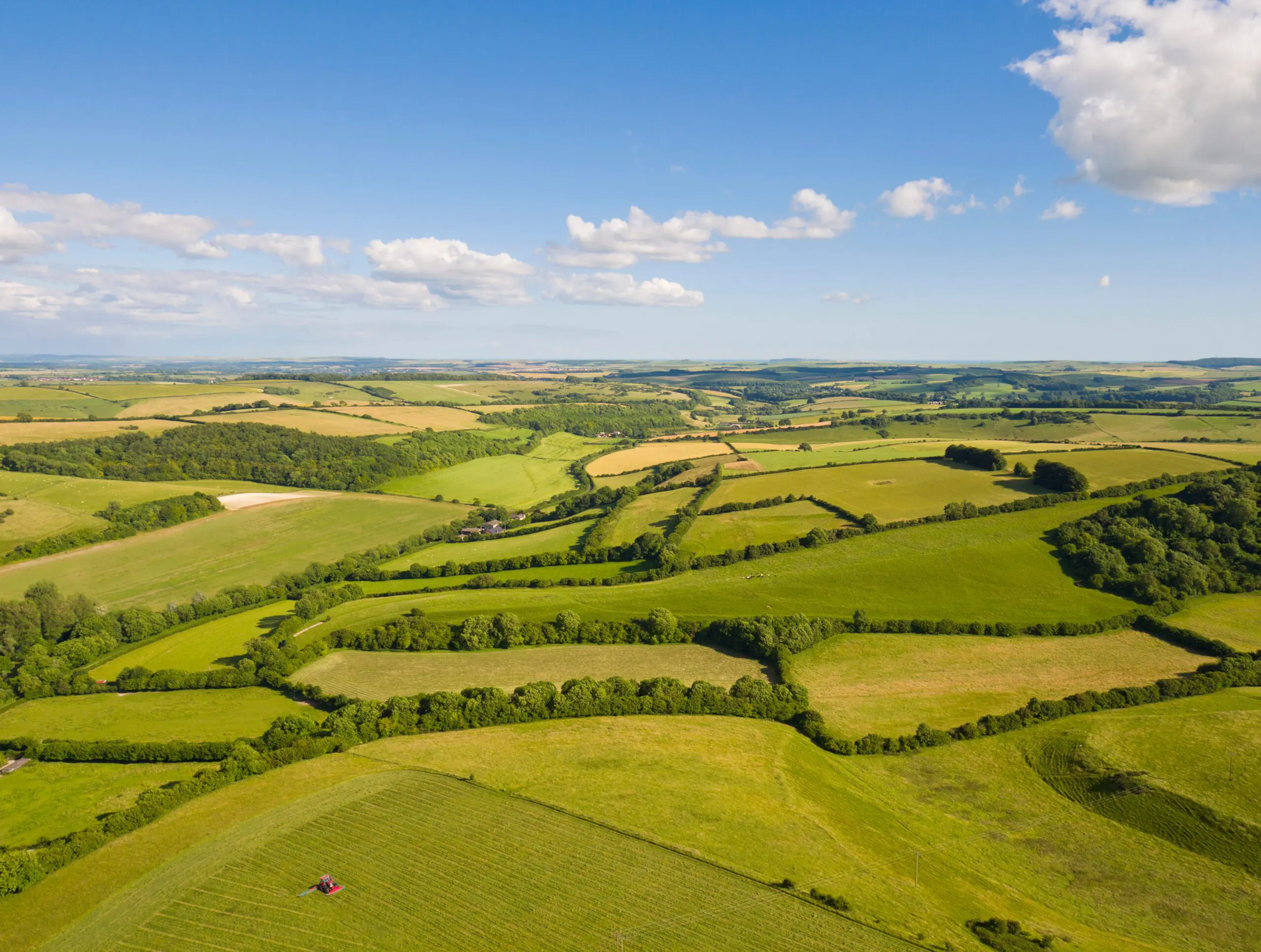 Ecological Delivery | Halpin Robbins