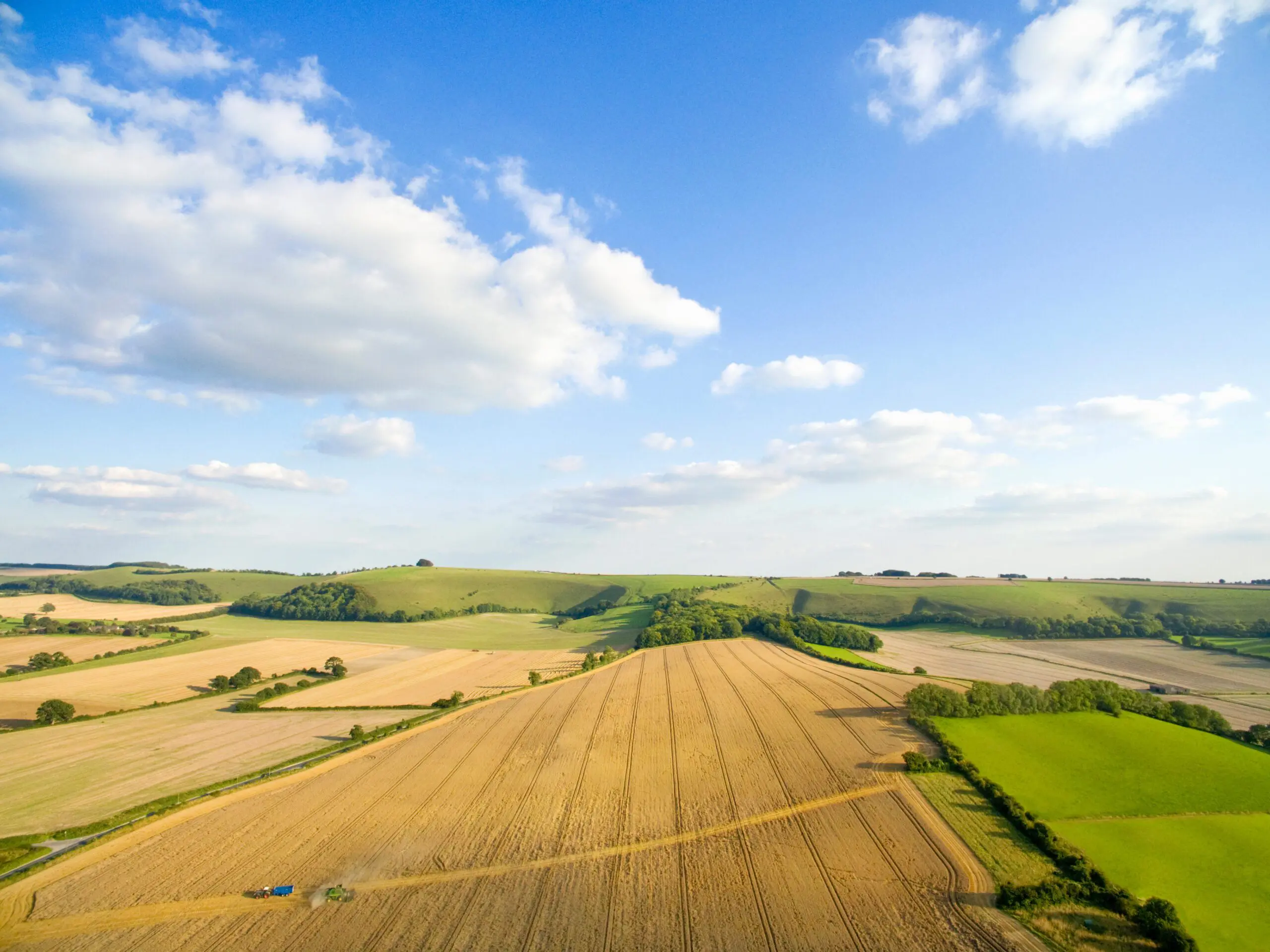 Construction Environmental Management Plans | Halpin Robbins