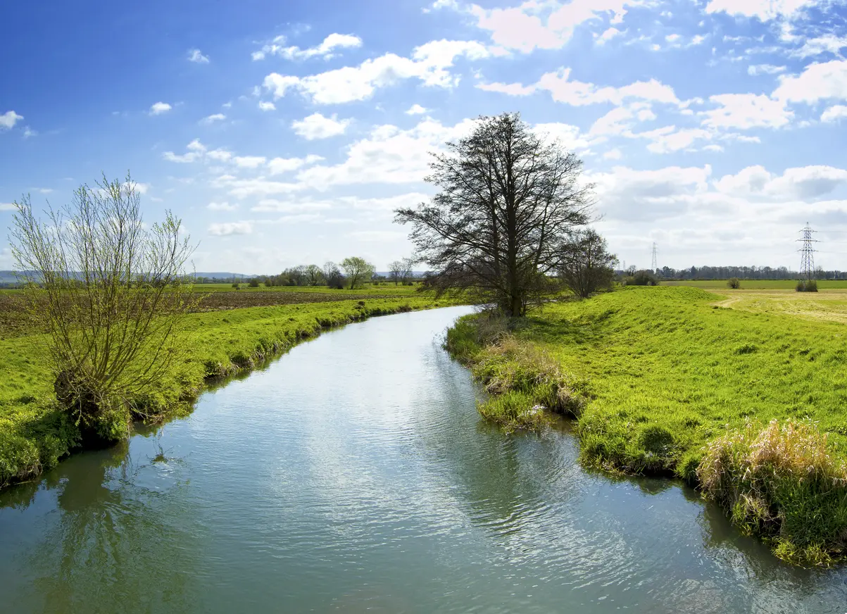 Environmental Planning & Impact Assessment | Halpin Robbins