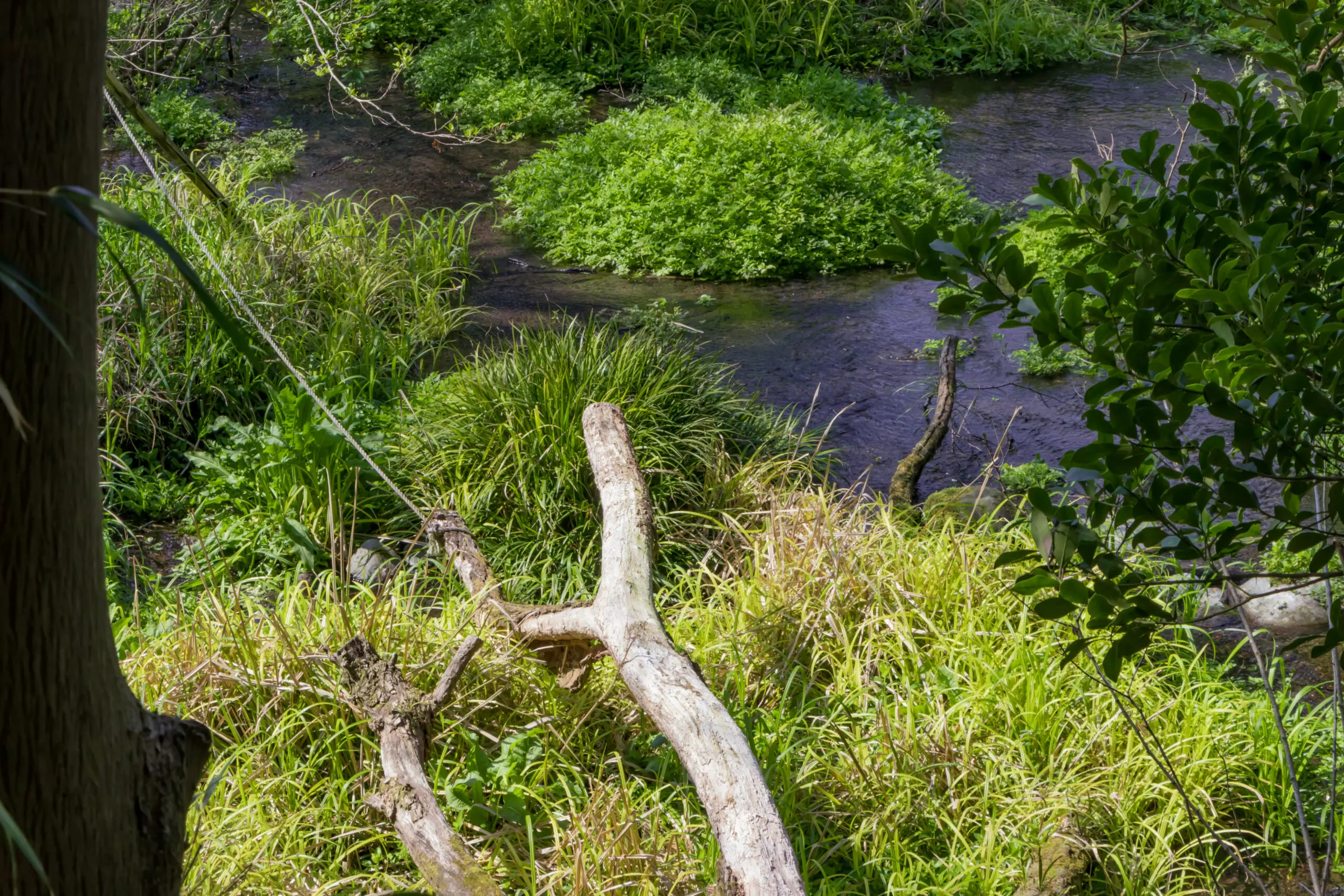 Habitat Creation & Management | Halpin Robbins