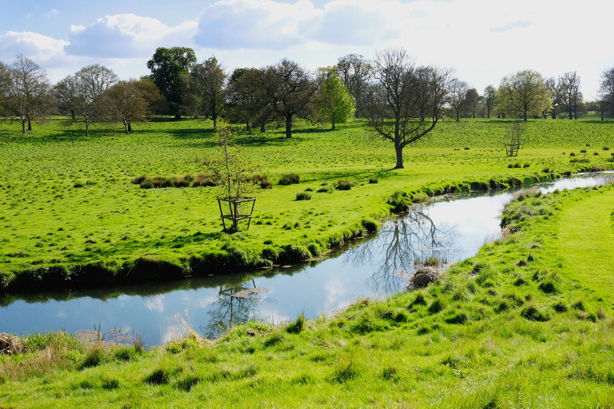 Environmental Planning & Impact Assessment | Halpin Robbins