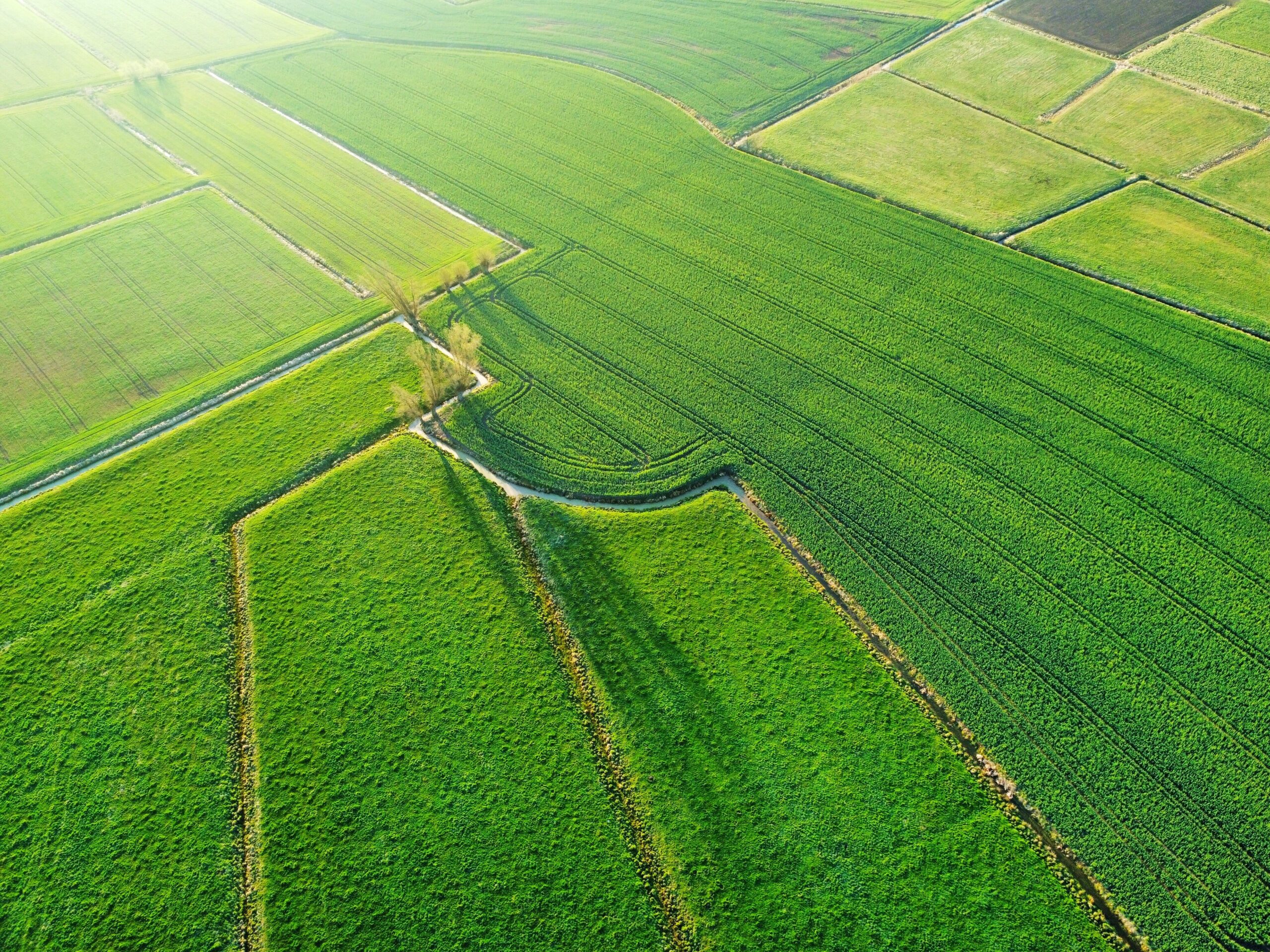Ecological Assessment | Halpin Robbins