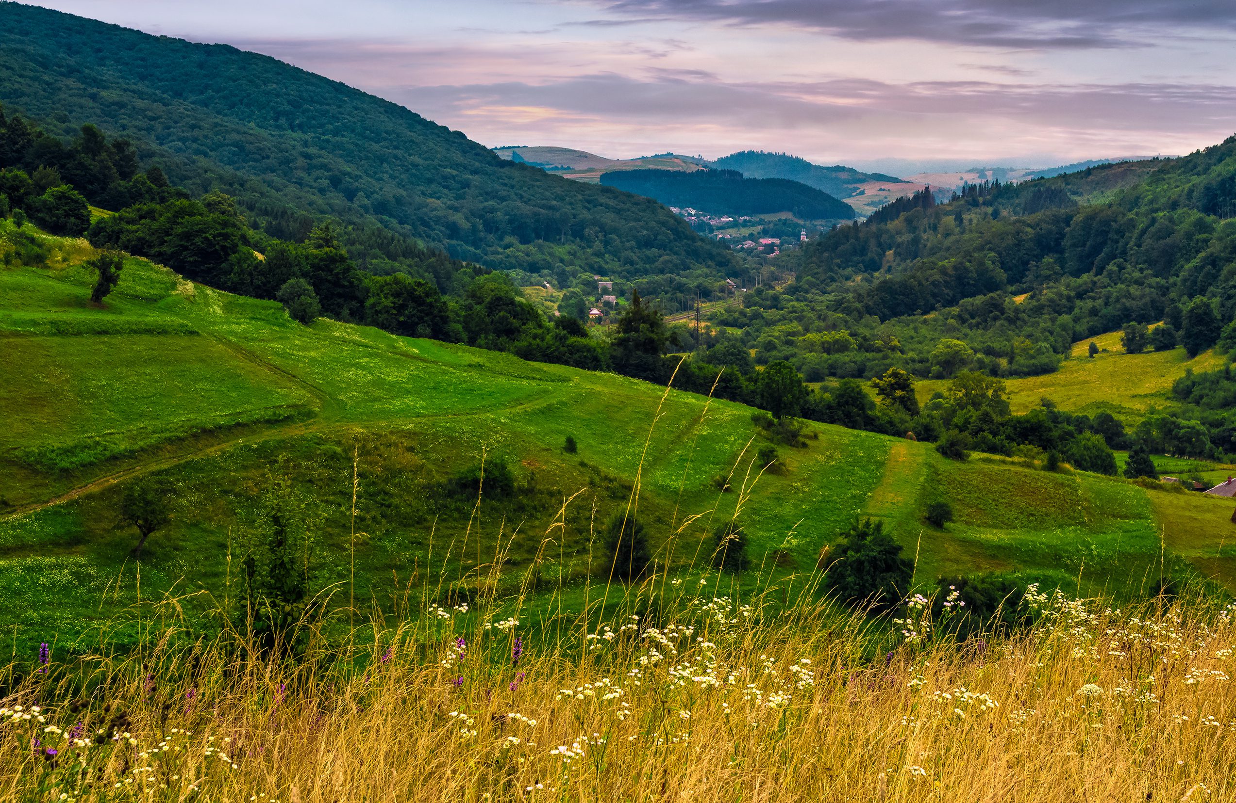 Construction Environmental Management Plans | Halpin Robbins