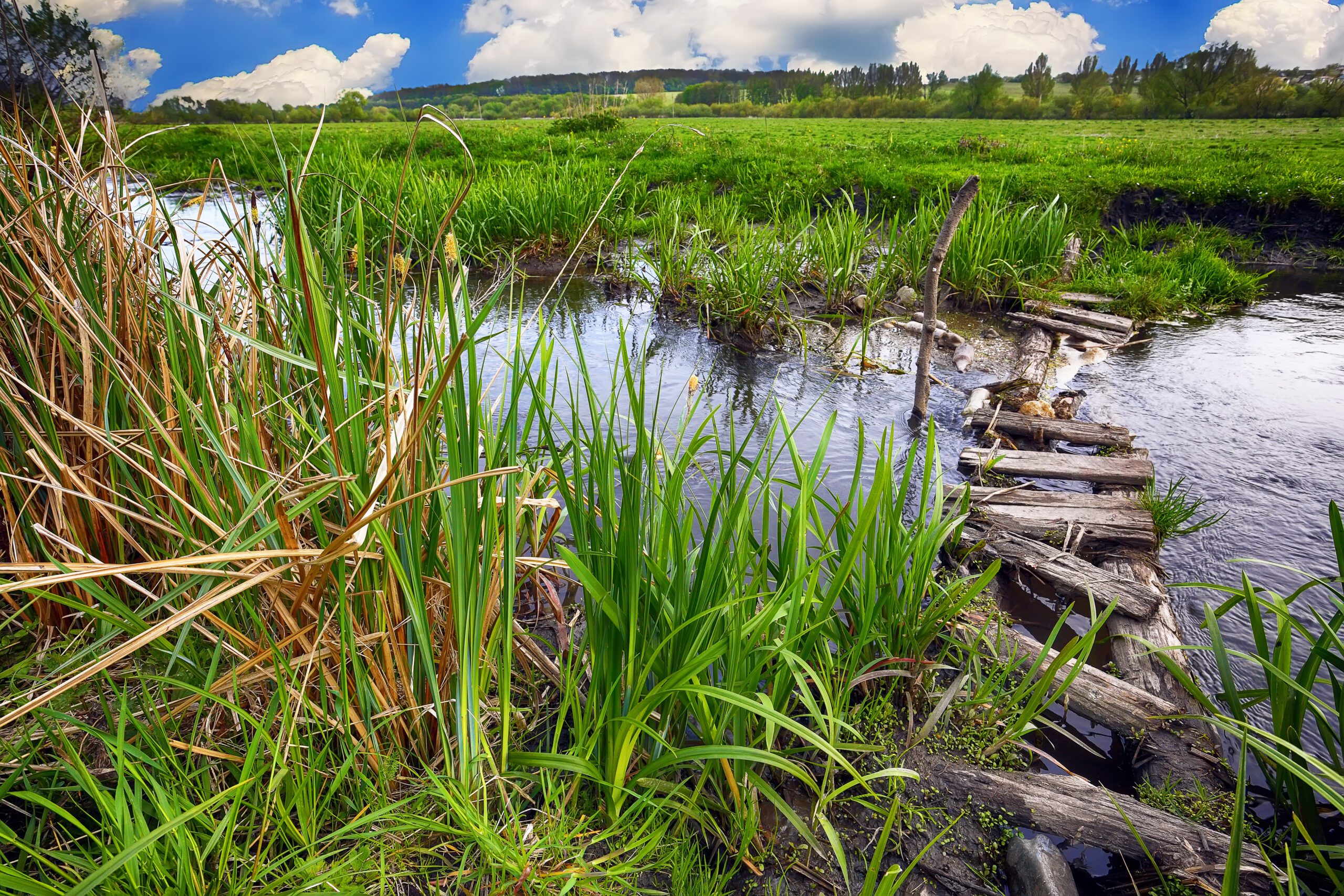 Waste & Resource Management | Halpin Robbins