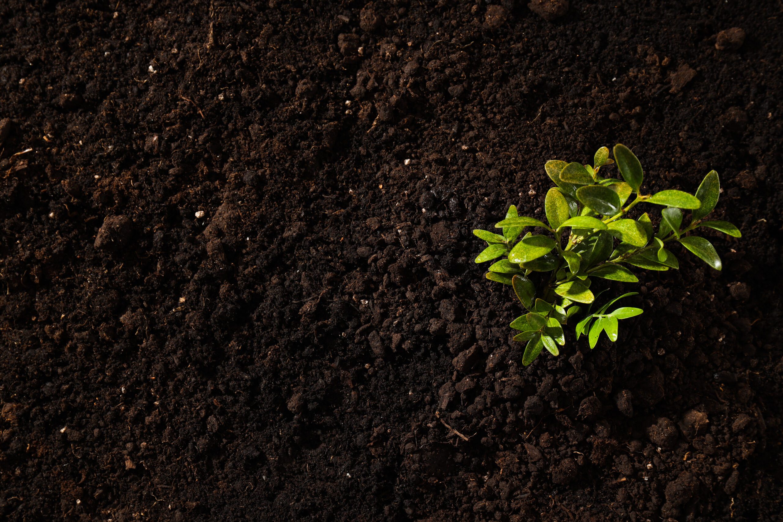Environmental Monitoring & Analysis | Halpin Robbins