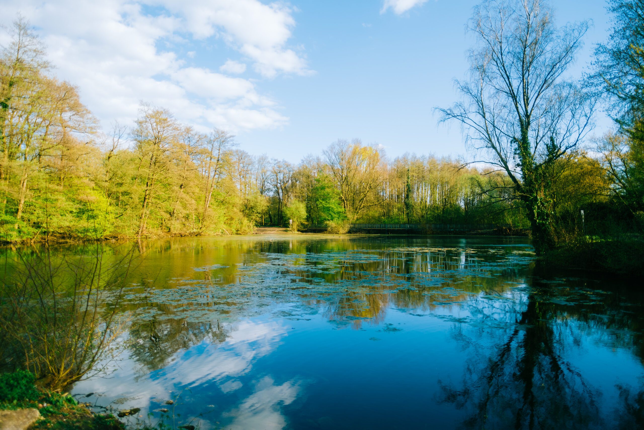 Ecological Delivery | Halpin Robbins