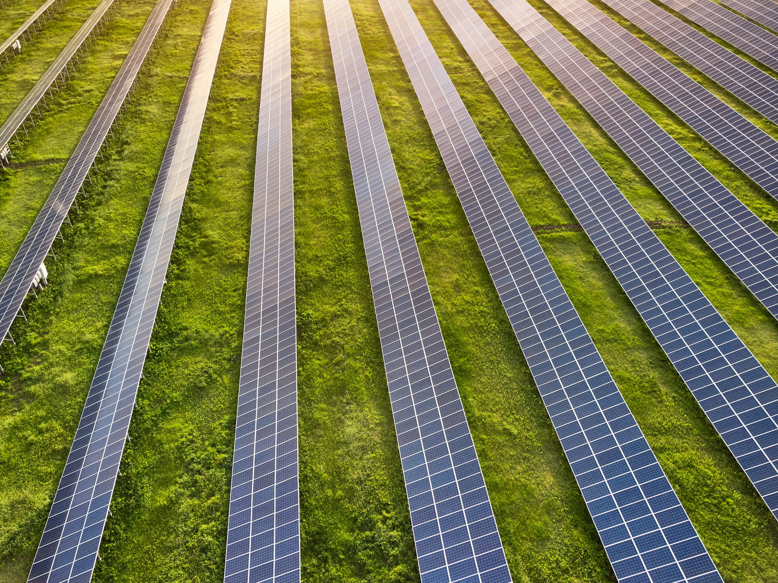 Energy & Carbon Management | Halpin Robbins