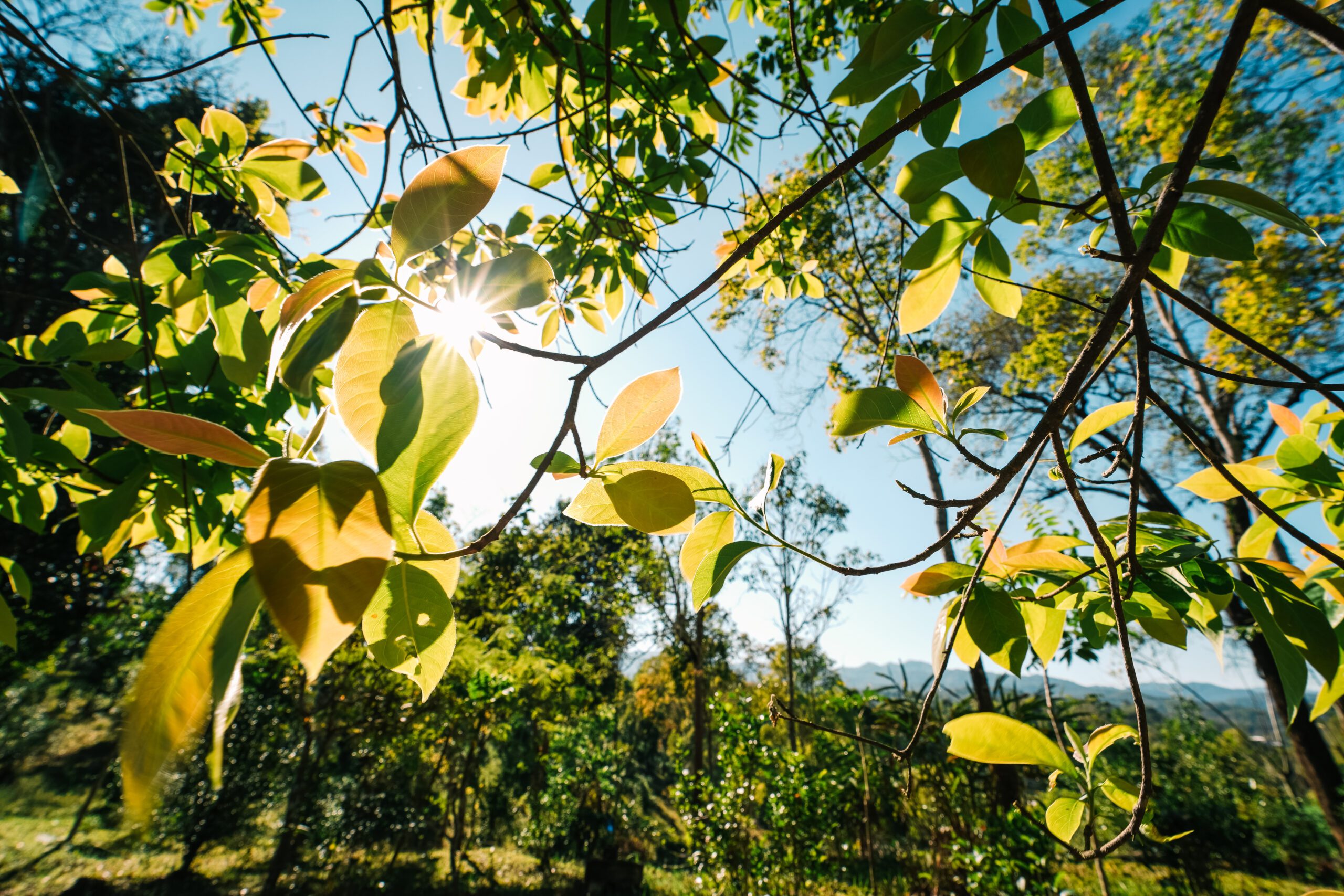 Ecological Delivery | Halpin Robbins