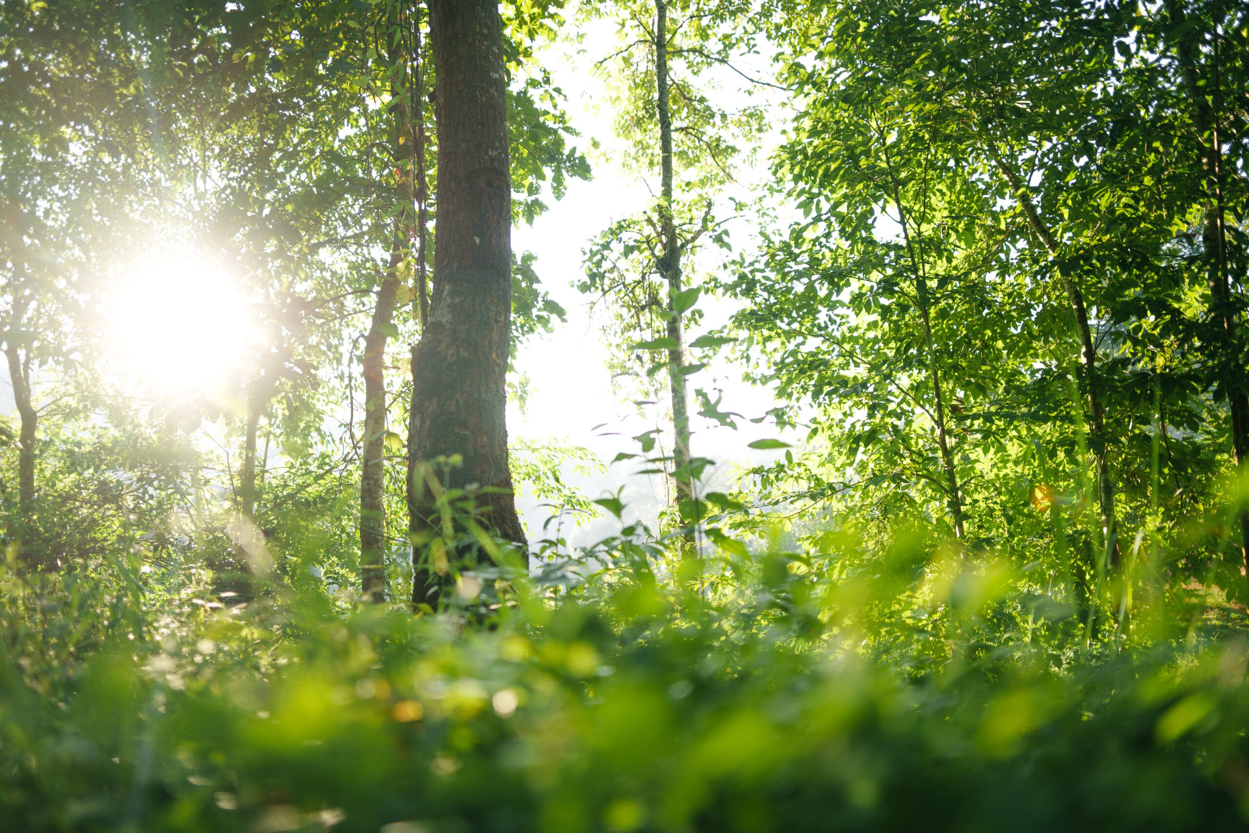 Environmental Planning & Impact Assessment | Halpin Robbins