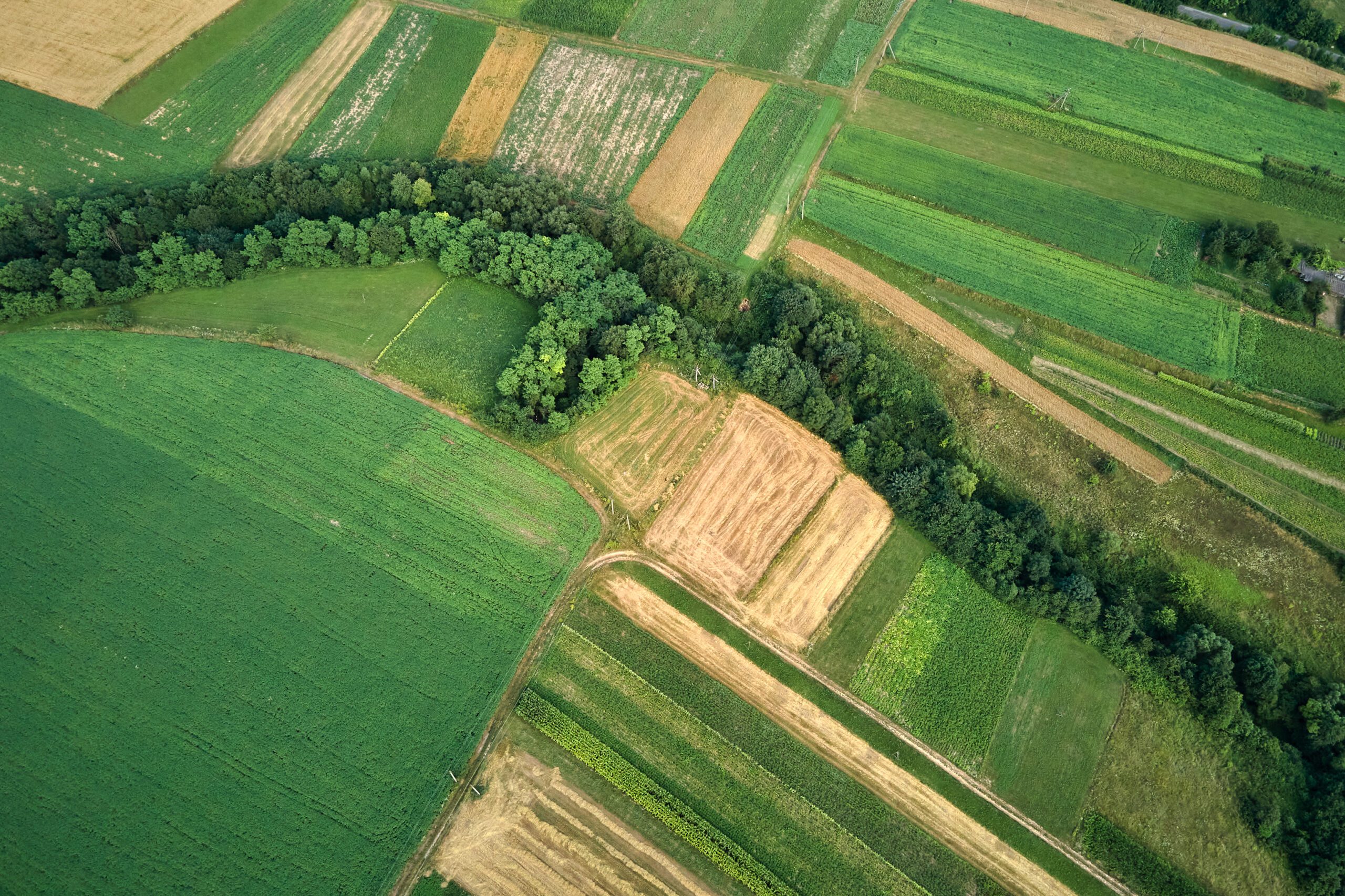 Regulatory Compliance & Permitting | Halpin Robbins