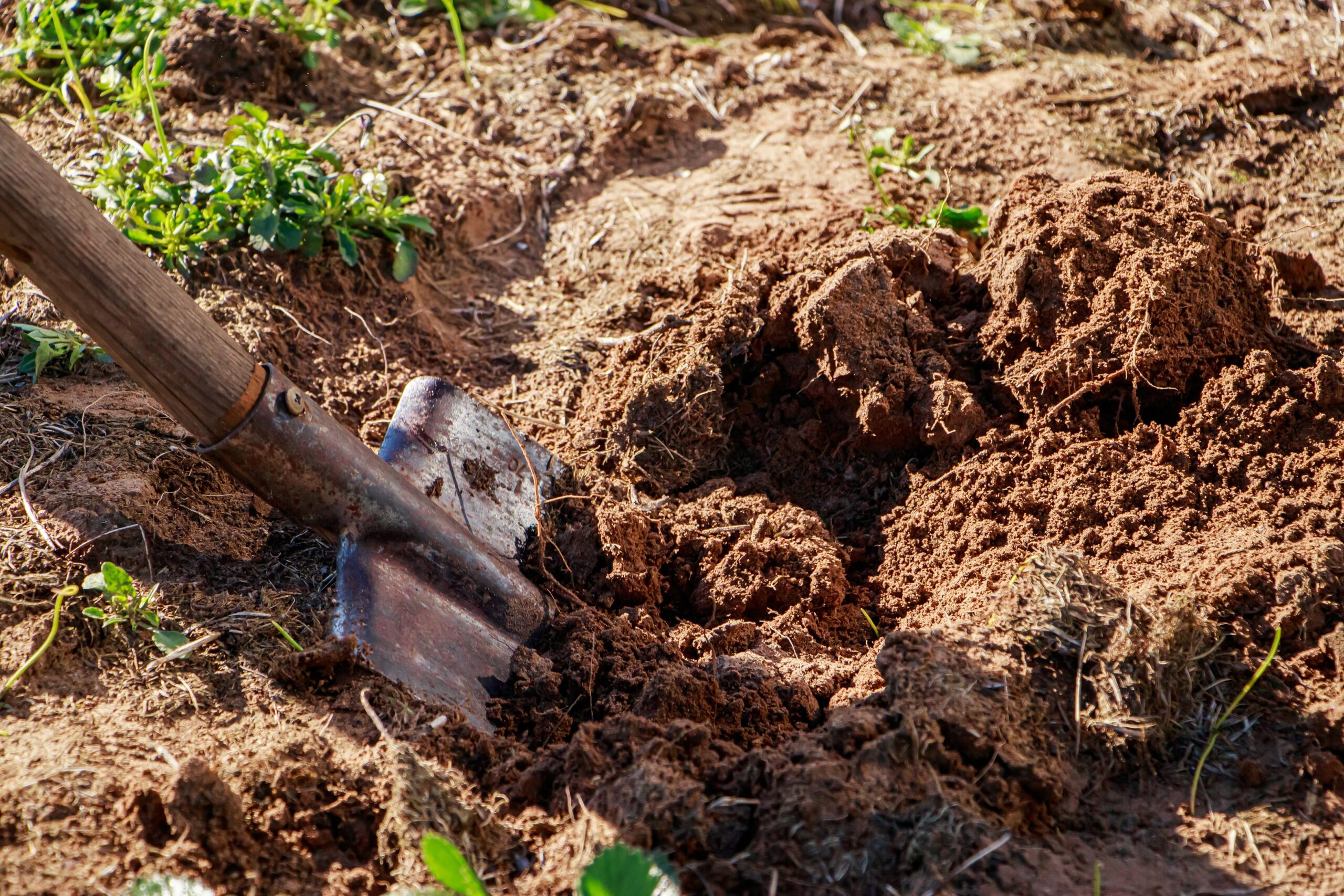 Site Condition Reports | Halpin Robbins