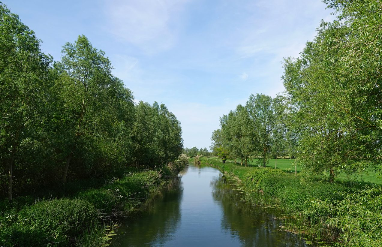Ecological Assessment | Halpin Robbins