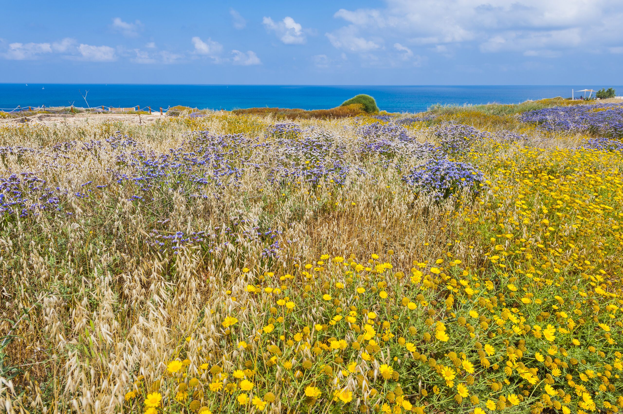 Ecological Mitigation & Enhancement | Halpin Robbins