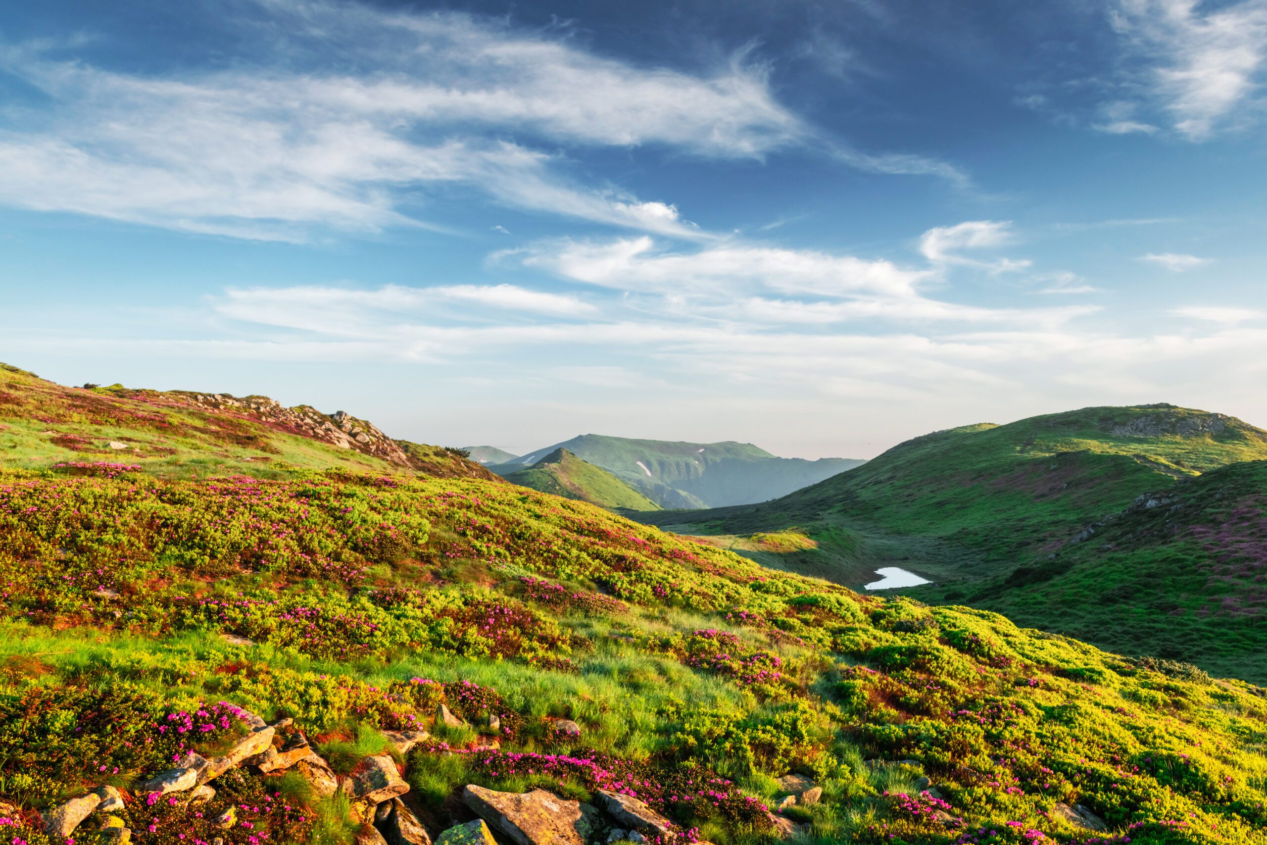 Strategic Environmental Advisory | Halpin Robbins
