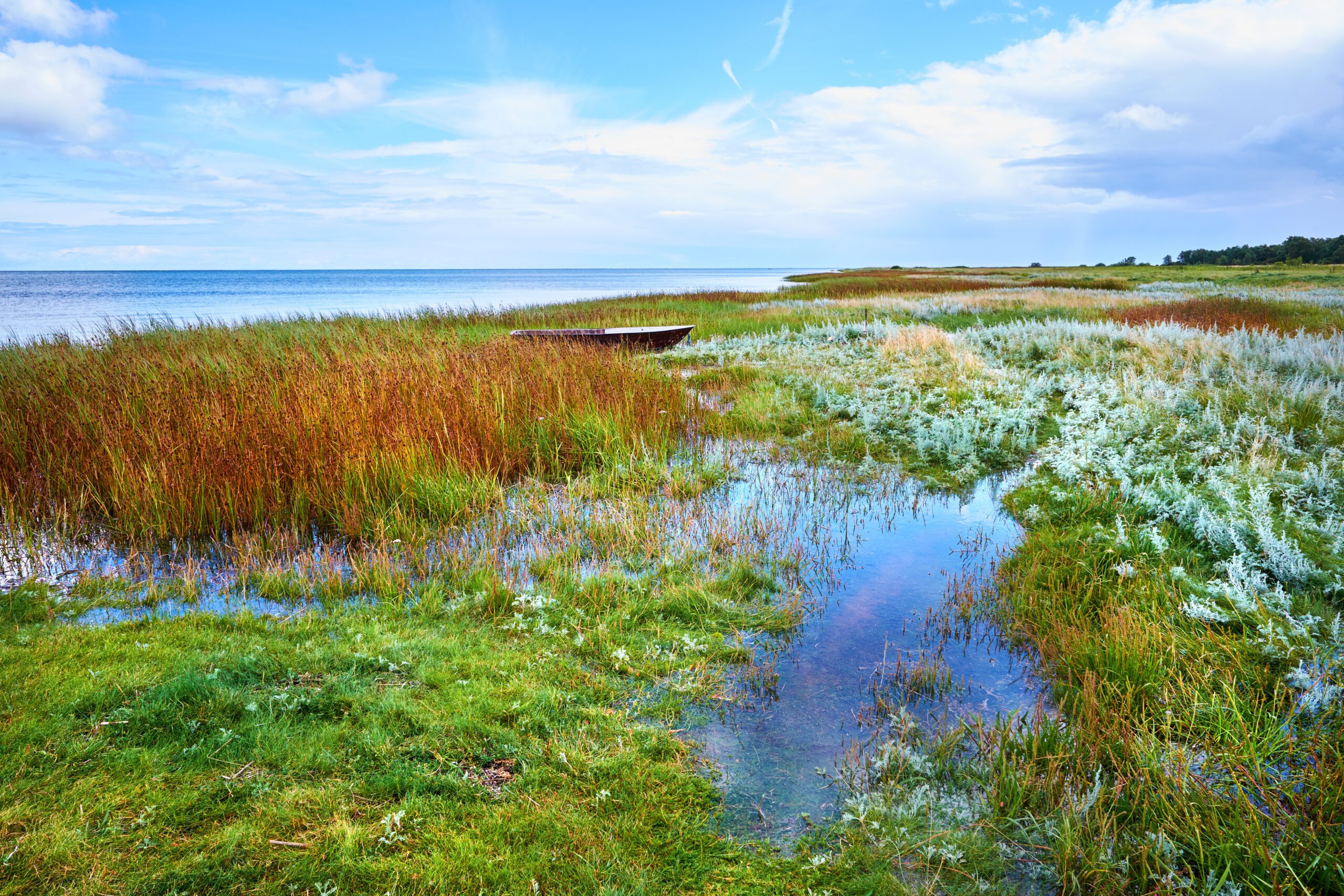 Waste & Resource Management | Halpin Robbins