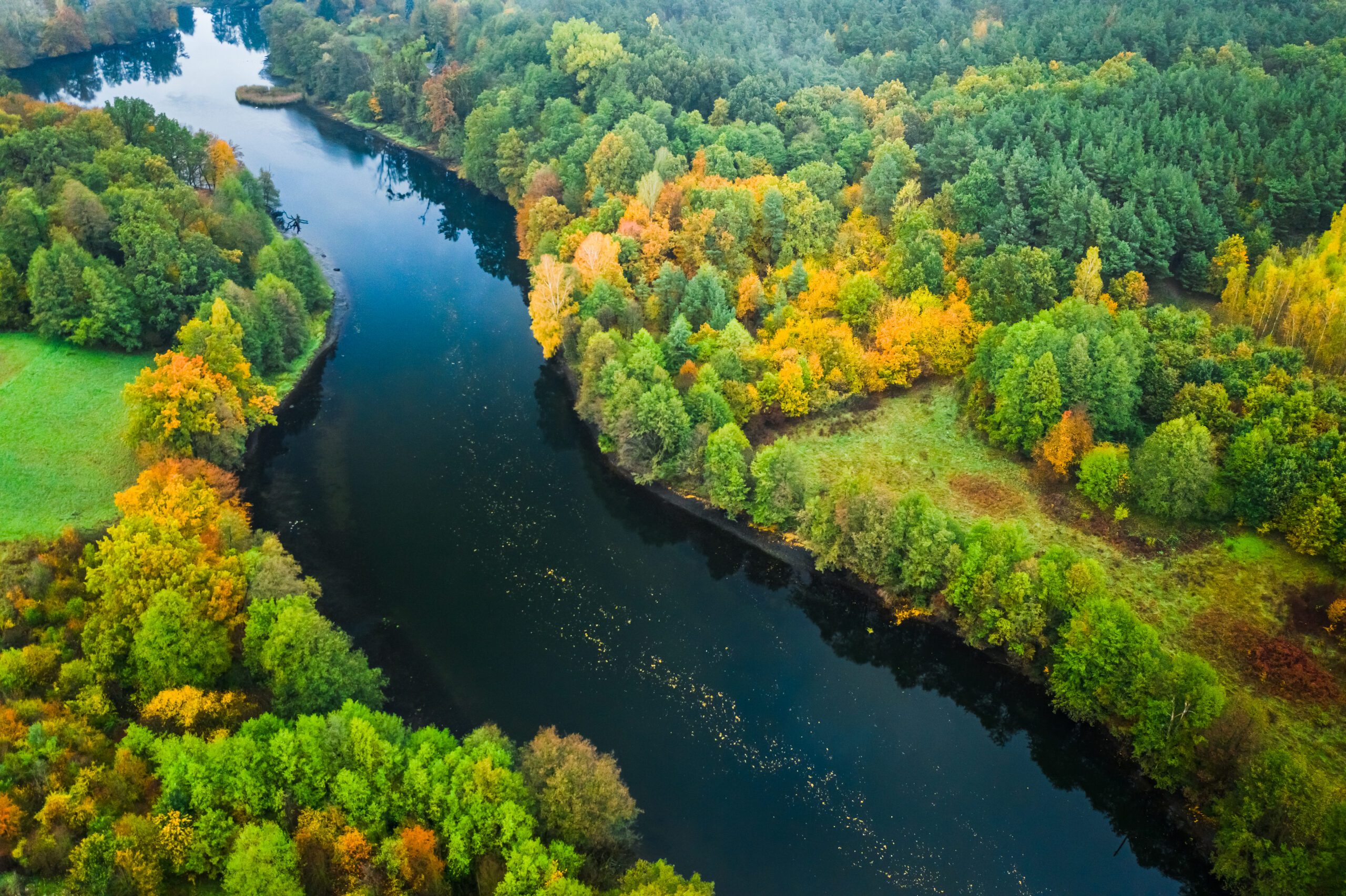 Ecological Delivery | Halpin Robbins