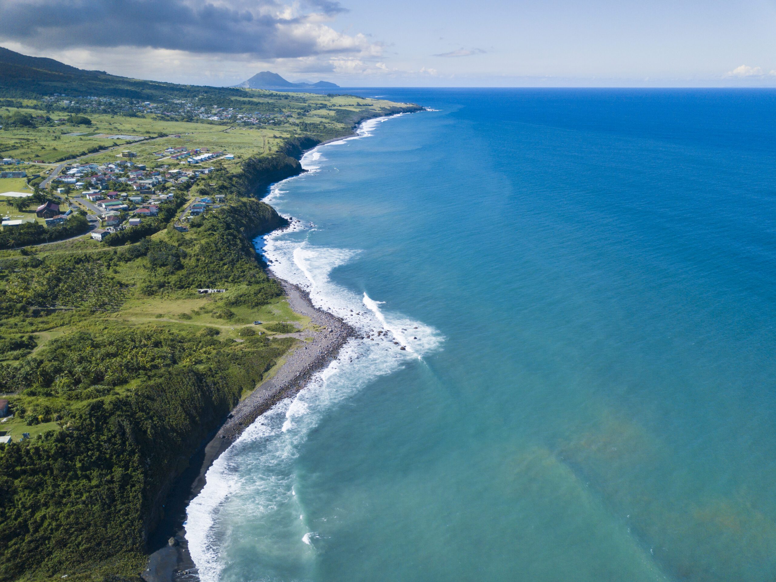 Ecological Delivery | Halpin Robbins