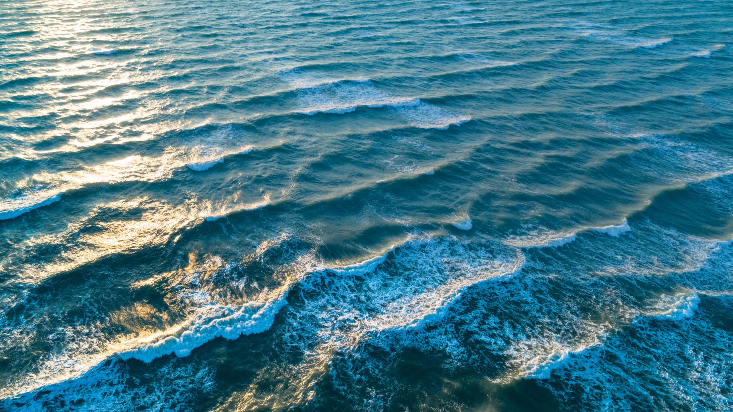 Regulatory Compliance & Permitting | Halpin Robbins