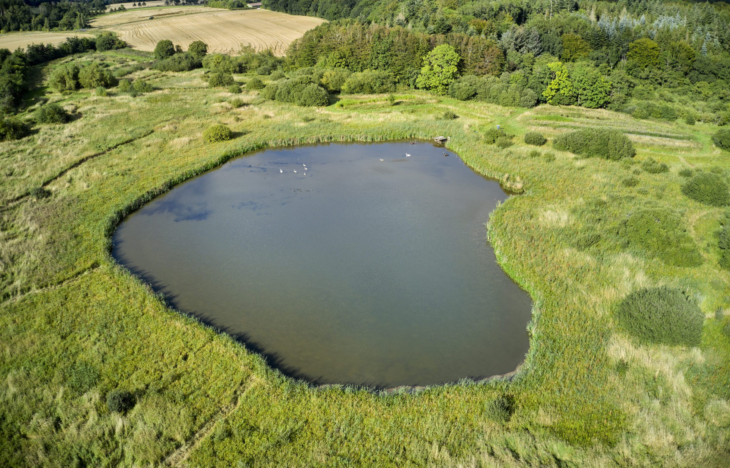 Environmental Permitting | Halpin Robbins