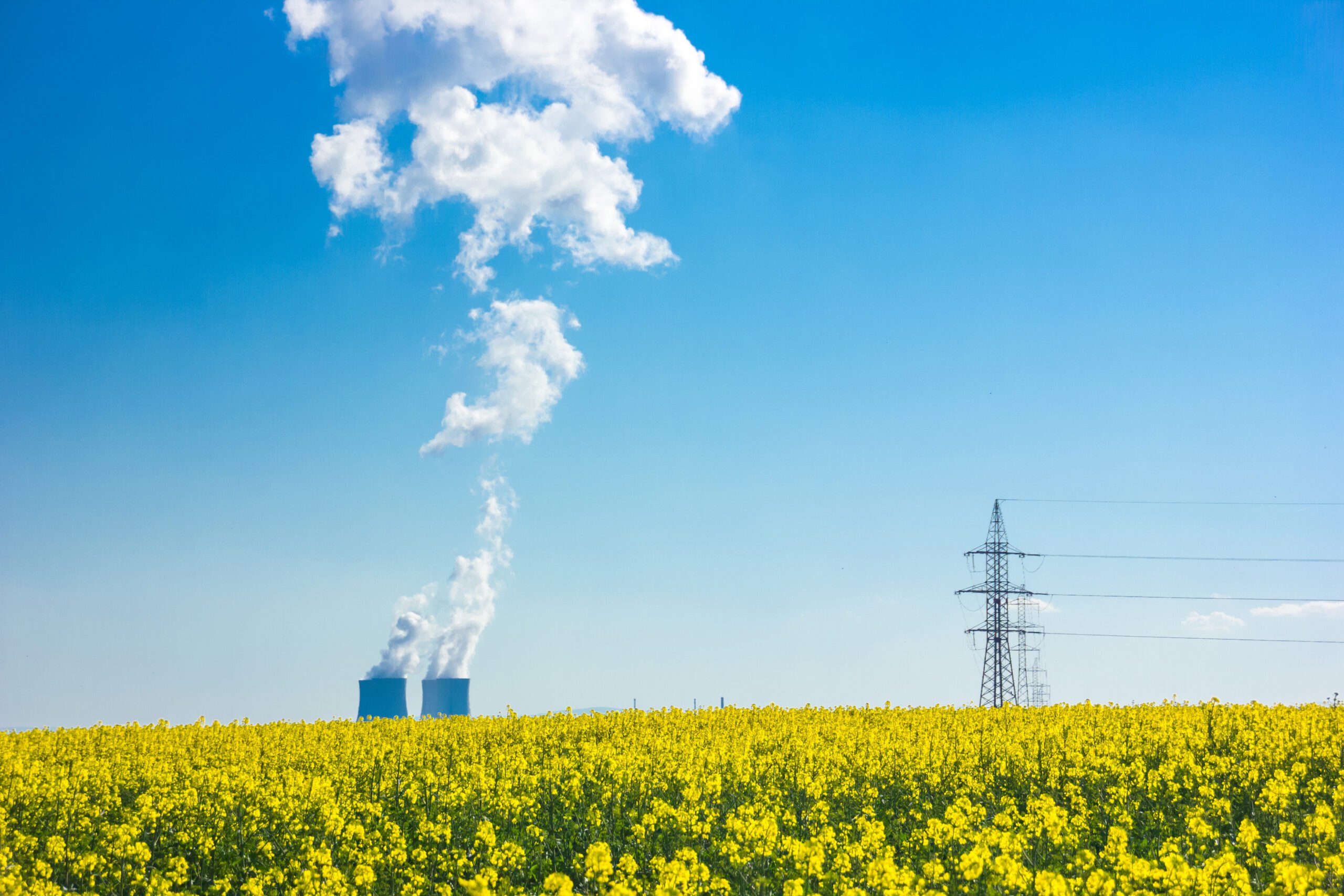 Carbon Footprinting & Carbon Reporting | Halpin Robbins