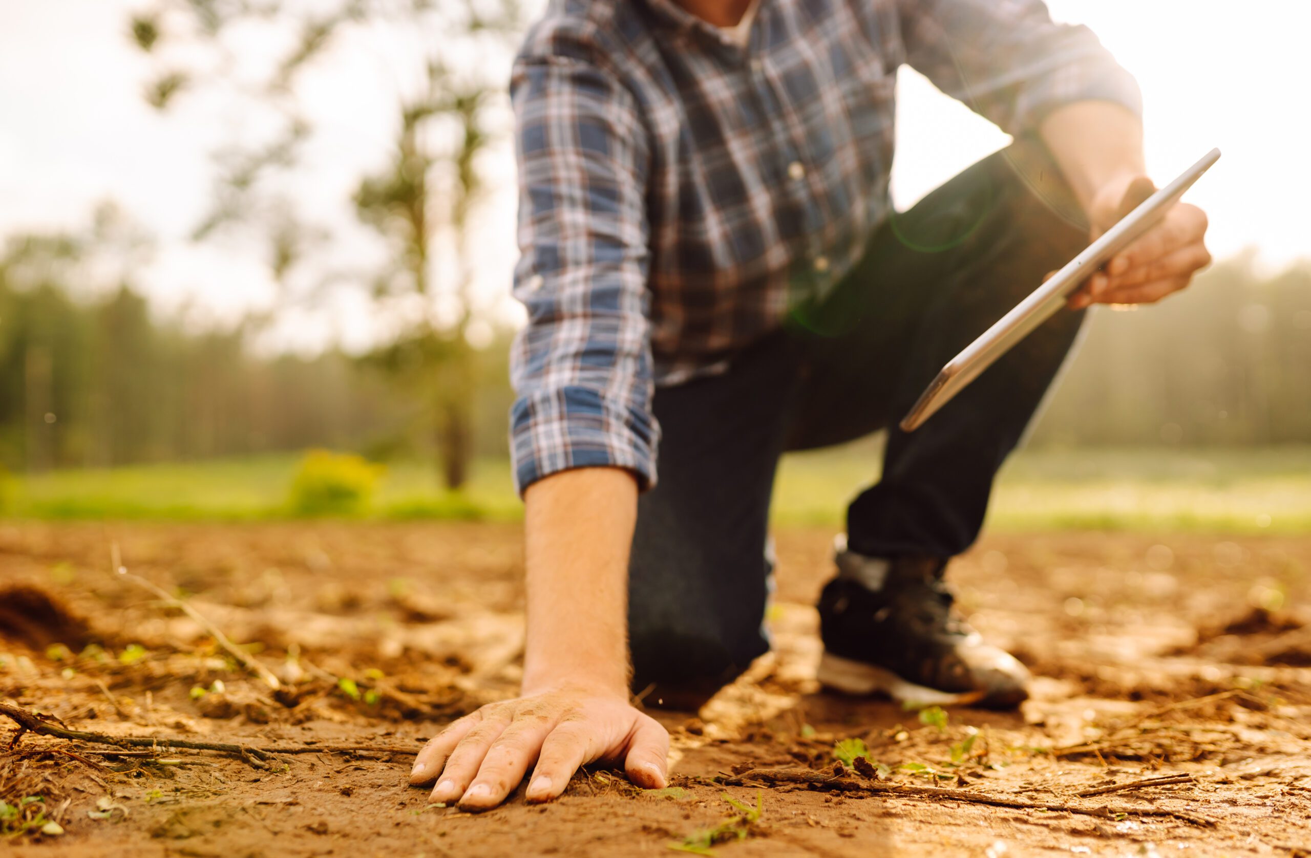 Strategic Environmental Advisory | Halpin Robbins