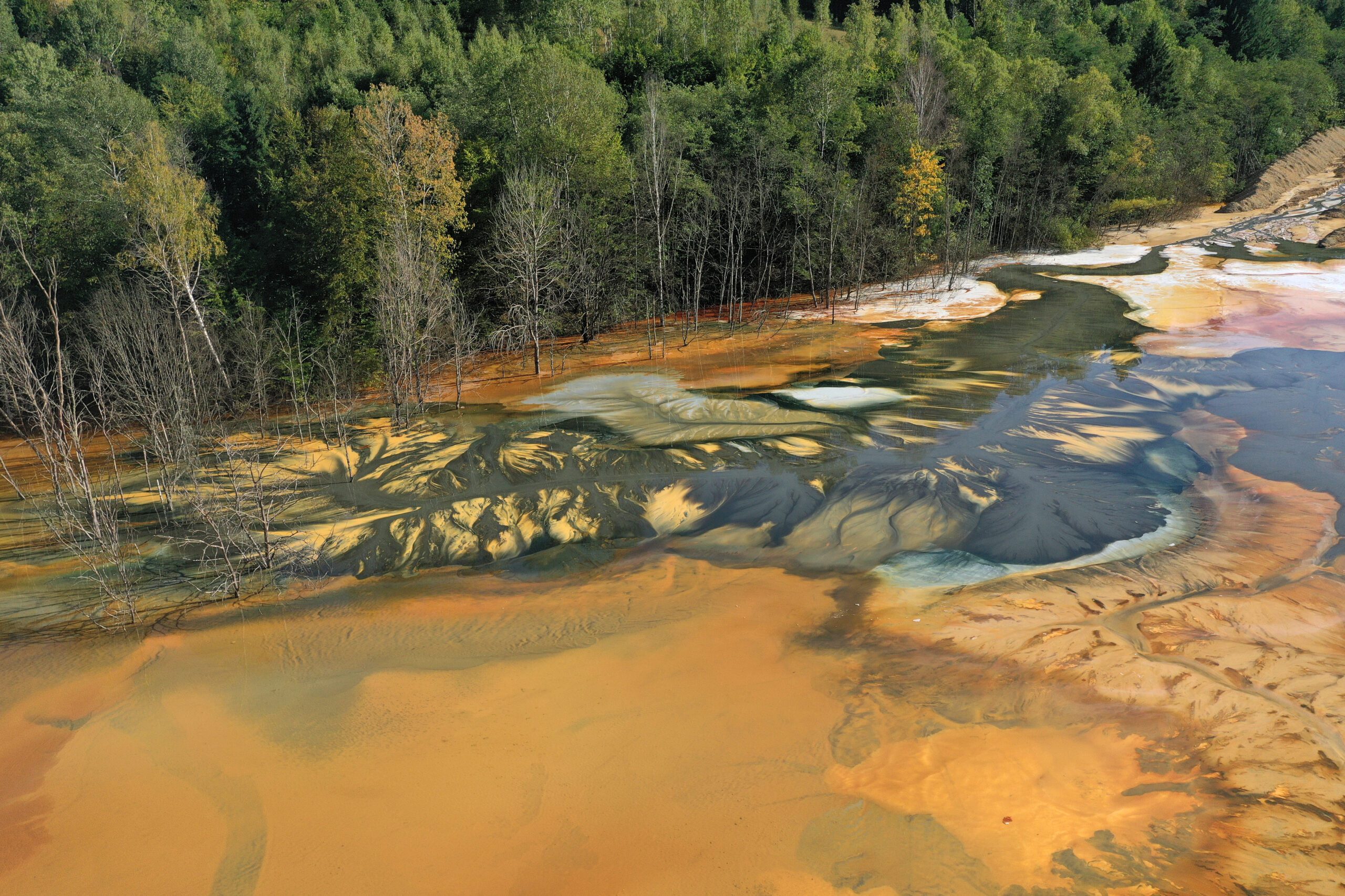 Phase 1 Contaminated Land Assessment | Halpin Robbins