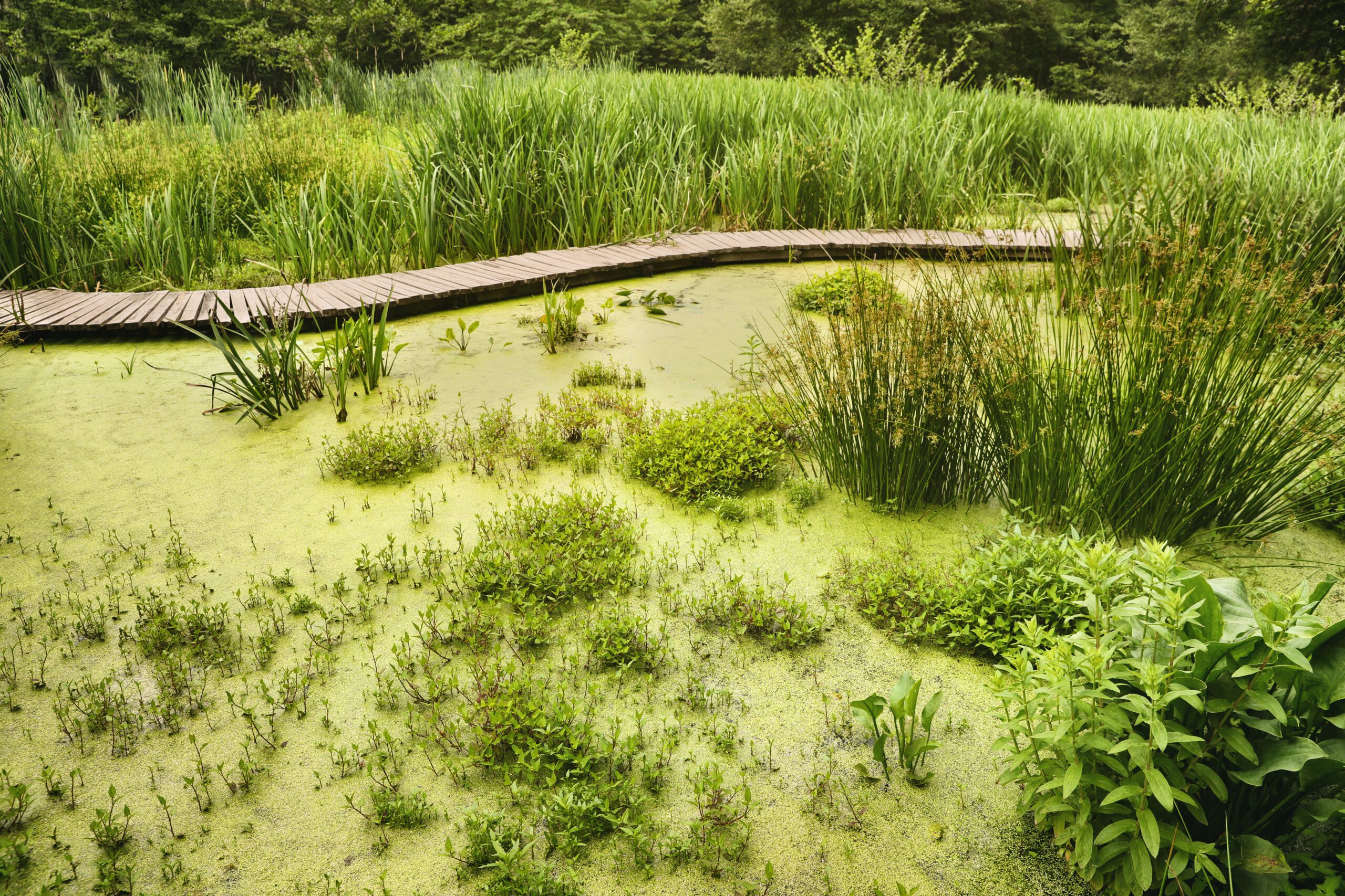Strategic Environmental Advisory | Halpin Robbins
