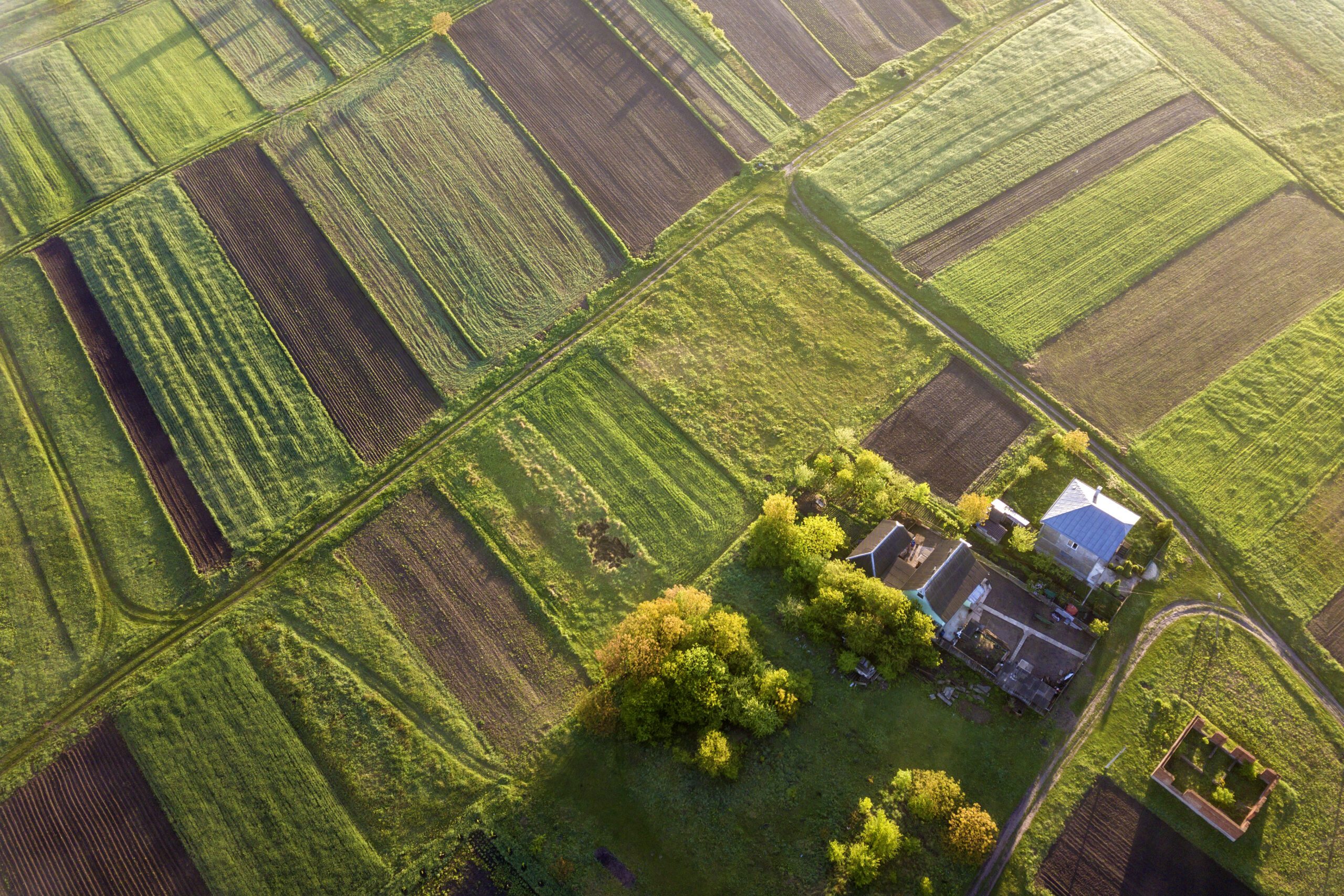 Planning & Development Environmental Support | Halpin Robbins