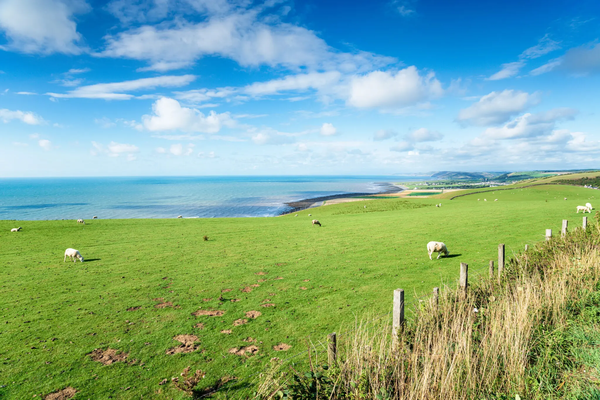 Environmental Services Devon | Halpin Robbins
